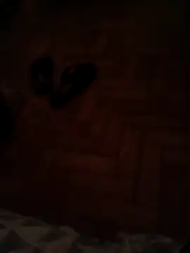 Snapshot of lobomisterioso13 chatting on 11, 12, 2024 lobomisterioso13 online show from 11, 12, 2024