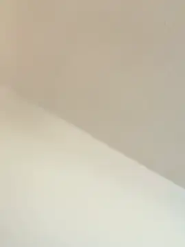 Snapshot of TransboyJay chatting on 13, 2, 2026 TransboyJay online show from 13, 2, 2026