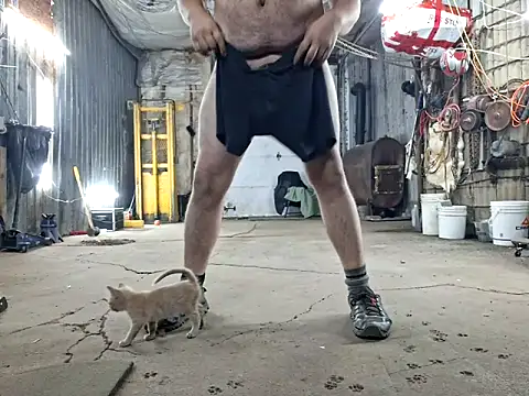 Frankdick01 online show from 8, 11, 2025