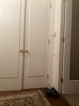 francaFerrariRoma online show from 28, 12, 2024