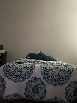 domoferrara online show from 19, 2, 2026