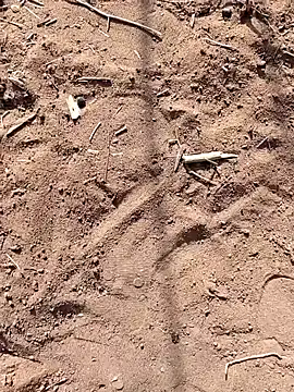 paugrande453 online show from 24, 9, 2025