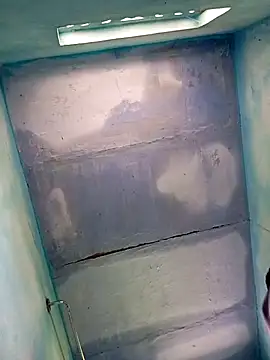 Andrapradesh online show from 13, 10, 2025