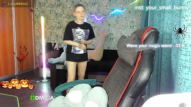 Your small bunny online show from 2, 11, 2025