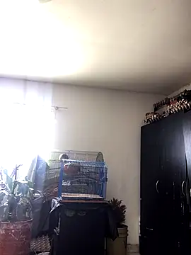 Snapshot of Miss_oliviaa chatting on 22, 10, 2025 Miss oliviaa online show from 22, 10, 2025