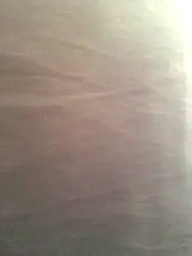 Snapshot of Miss_oliviaa chatting on 13, 11, 2025 Miss oliviaa online show from 13, 11, 2025