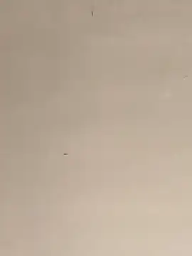 Snapshot of lukitassssssssssssss chatting on 1, 1, 2025 lukitassssssssssssss online show from 1, 1, 2025