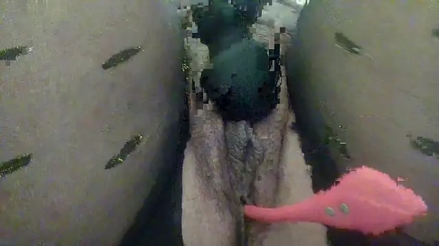 Ninalapiccolina online show from 2, 4, 2026