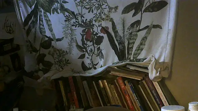 Snapshot of spacegirlll chatting on 27, 2, 2025 spacegirlll online show from 27, 2, 2025