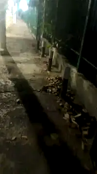 Snapshot of spacegirlll chatting on 14, 3, 2025 spacegirlll online show from 14, 3, 2025