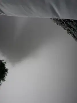 Snapshot of Aryrosee chatting on 3, 1, 2025 Aryrosee online show from 3, 1, 2025