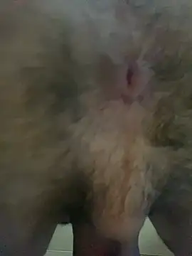 hornyboy739 online show from 25, 3, 2026