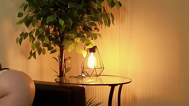 Risky dream online show from 14, 12, 2024