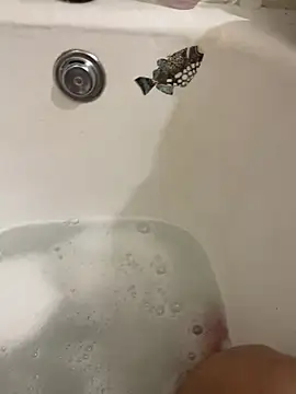 hamdullilah online show from 20, 2, 2025