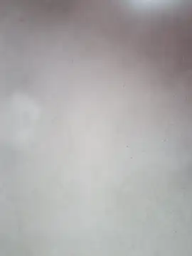 Snapshot of _violetta_- chatting on 12, 10, 2025 violetta - online show from 12, 10, 2025