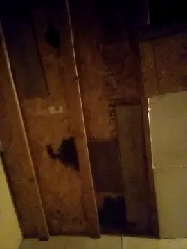 Snapshot of beliqi chatting on 15, 12, 2024 beliqi online show from 15, 12, 2024