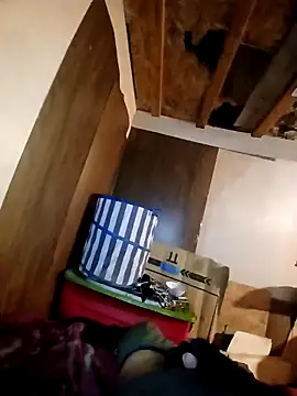 Snapshot of beliqi chatting on 15, 11, 2025 beliqi online show from 15, 11, 2025