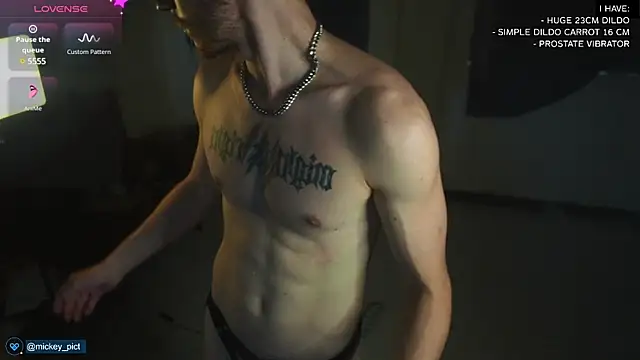 Snapshot of mickeypict chatting on 12, 12, 2024 mickeypict online show from 12, 12, 2024