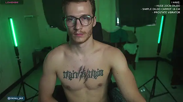 Snapshot of mickeypict chatting on 22, 12, 2024 mickeypict online show from 22, 12, 2024