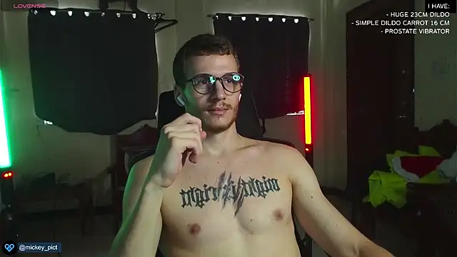 Snapshot of mickeypict chatting on 25, 12, 2024 mickeypict online show from 25, 12, 2024