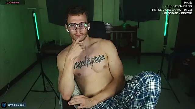 Snapshot of mickeypict chatting on 25, 12, 2024 mickeypict online show from 25, 12, 2024