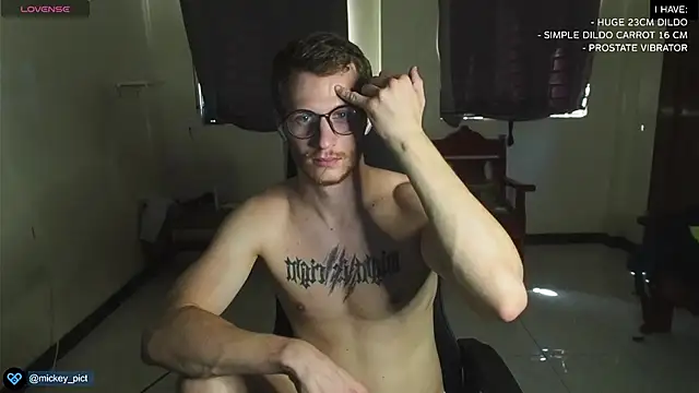 Snapshot of mickeypict chatting on 29, 12, 2024 mickeypict online show from 29, 12, 2024