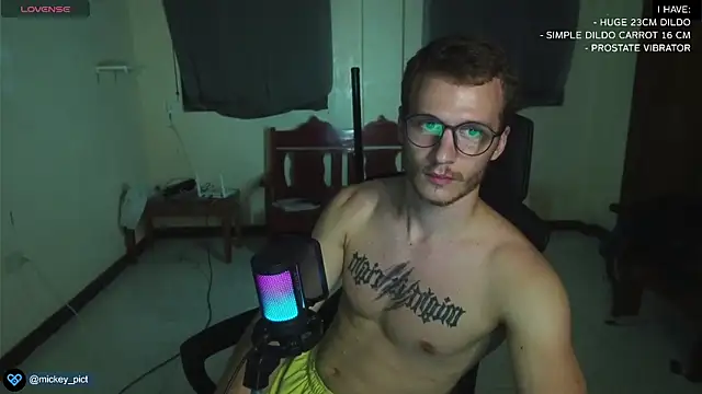 Snapshot of mickeypict chatting on 30, 12, 2024 mickeypict online show from 30, 12, 2024