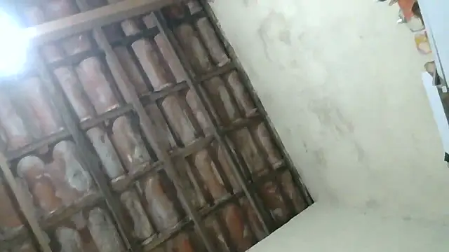 pornstarbrezillian online show from 16, 10, 2025