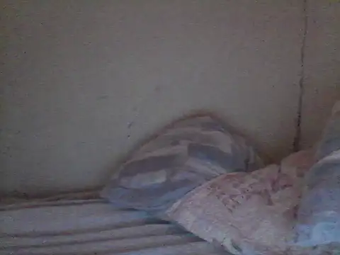 pornstarbrezillian online show from 13, 11, 2025