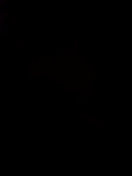 pornstarbrezillian online show from 24, 11, 2025