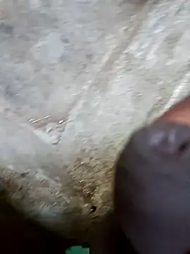 Snapshot of jellydicks chatting on 29, 12, 2024 jellydicks online show from 29, 12, 2024