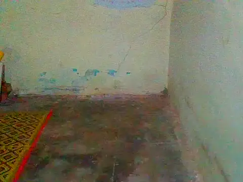 Snapshot of jellydicks chatting on 11, 2, 2025 jellydicks online show from 11, 2, 2025