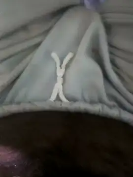 Snapshot of jellydicks chatting on 19, 2, 2025 jellydicks online show from 19, 2, 2025