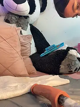 Snapshot of IamSteph13 chatting on 2, 3, 2026 IamSteph13 online show from 2, 3, 2026