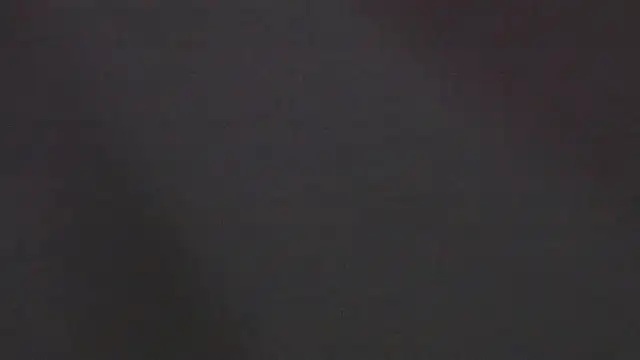 Zoeth Ruiz online show from 4, 1, 2025