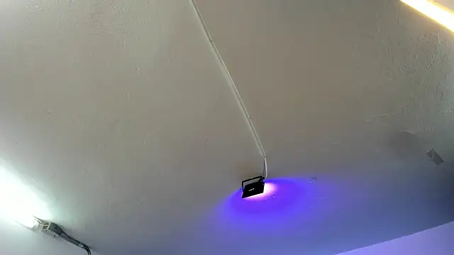 Snapshot of Amy_Kiitty_ chatting on 21, 11, 2025 Amy Kiitty online show from 21, 11, 2025