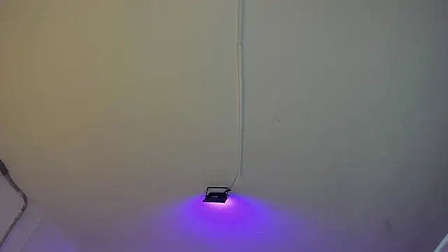 Snapshot of Amy_Kiitty_ chatting on 27, 2, 2026 Amy Kiitty online show from 27, 2, 2026