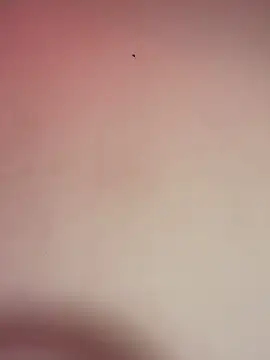 Snapshot of _Chartlotte chatting on 11, 12, 2024 Chartlotte online show from 11, 12, 2024