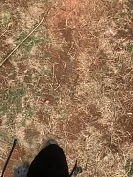 Snapshot of Black_mamba_madingo chatting on 23, 2, 2025 Black mamba madingo online show from 23, 2, 2025