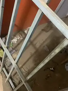 Snapshot of Black_mamba_madingo chatting on 12, 3, 2025 Black mamba madingo online show from 12, 3, 2025