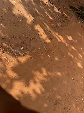 Snapshot of Black_mamba_madingo chatting on 21, 3, 2026 Black mamba madingo online show from 21, 3, 2026