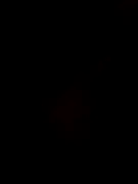 Gujrat player online show from 28, 12, 2024