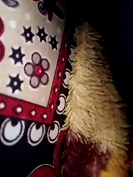 Gujrat player online show from 13, 3, 2025