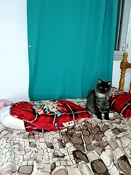 sama0012 online show from 19, 2, 2025