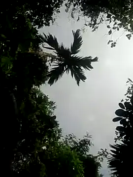 kumaricapalsex2 online show from 26, 1, 2025