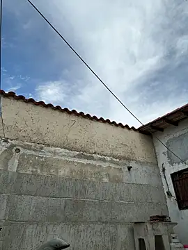 Leo bunny hot online show from 5, 10, 2025