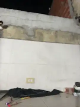 Leo bunny hot online show from 3, 2, 2026