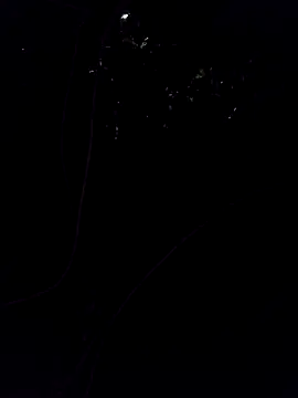 Raju4173 online show from 14, 2, 2025