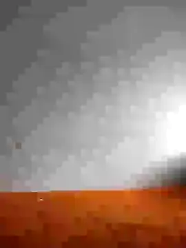 Dalou3a69 online show from 8, 1, 2025