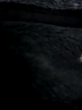 MetalJoint2 online show from 30, 11, 2025